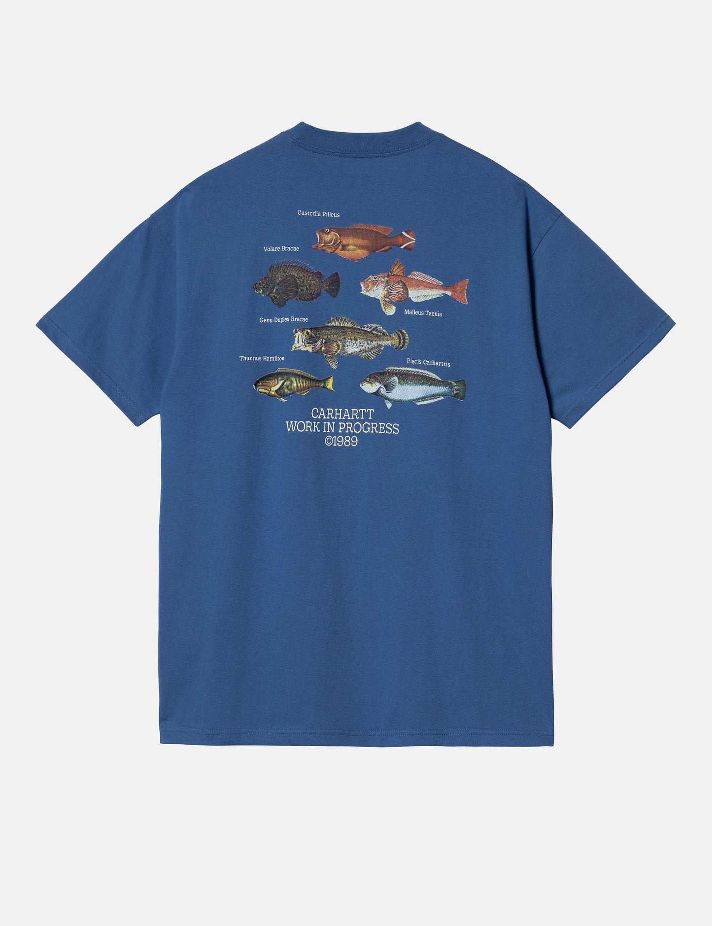 Fisch-T-Shirt (locker sitzend) – Acapulcoblau